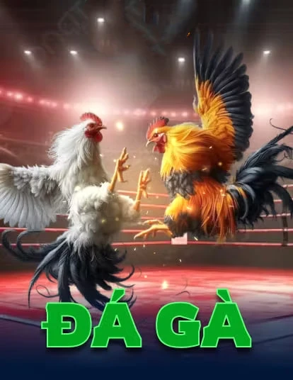 123b - Game chiến thuật